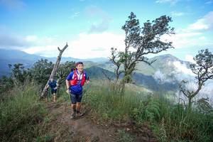 BIB: 
                            <button type="button" onclick="openModal(22371839)" class="btn btn-primary btn-sm float-right btn-popup" data-toggle="modal" data-target=".modal-high-quality">
                        <i class="fas fa-shopping-cart"></i> Add to Cart
                    </button>
                                            <button type="button" onclick="isThisMe(22371839, true)" class="btn btn-success btn-sm float-right btn-popup btn-isme hidden" data-toggle="tooltip" data-placement="bottom" title="นี่คือรูปของคุณใช่ไหม คลิกที่นี่เพื่อเอาเข้าอัลบั้ม">
                        <i class="fas fa-plus"></i> Add to album
                    </button>
                    <button type="button" onclick="isThisMe(22371839, false)" class="btn btn-warning btn-sm float-right btn-popup btn-isnotme hidden">
                        <i class="fas fa-ban"></i> Remove from album
                    </button>